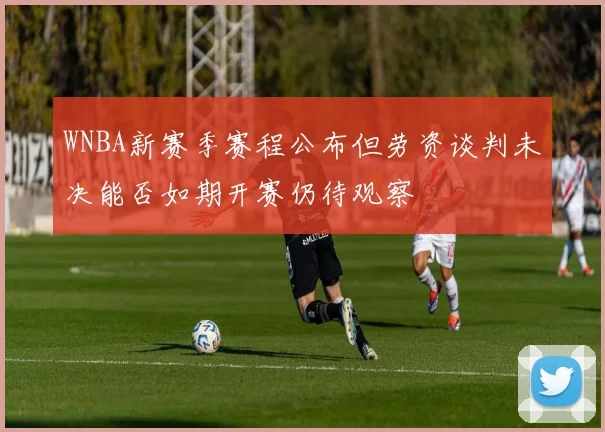 WNBA新赛季赛程公布但劳资谈判未决能否如期开赛仍待观察