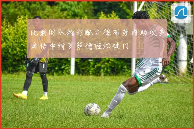 比利时队精彩配合德布劳内助攻多库传中特罗萨德轻松破门
