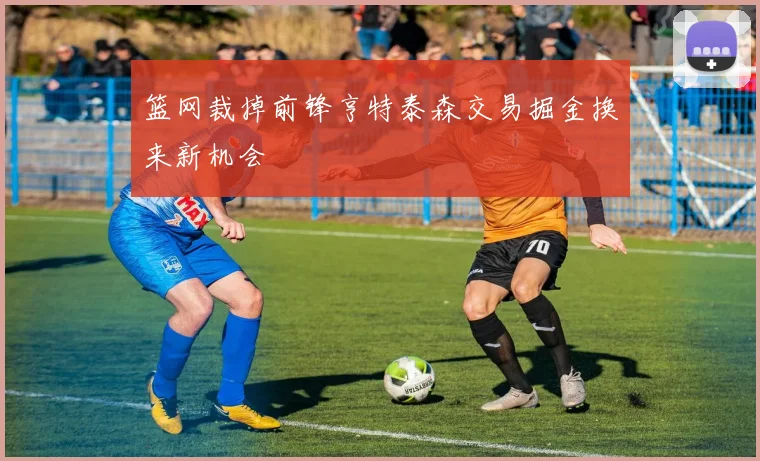 篮网裁掉前锋亨特泰森交易掘金换来新机会